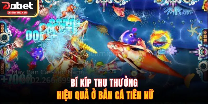 Bí kíp thu thưởng hiệu quả ở bắn cá tiên nữ