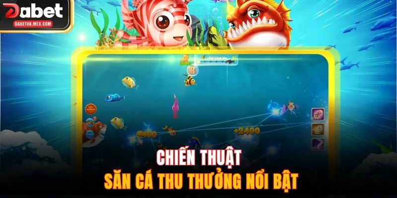Chiến thuật săn cá thu thưởng nổi bật
